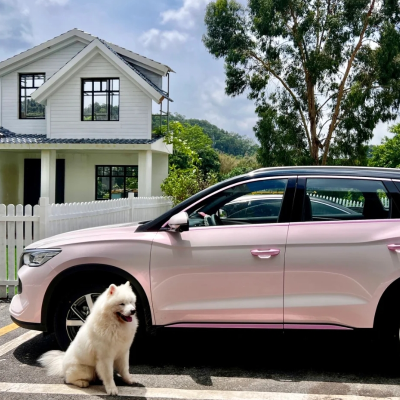 Macaron Cherry Pink Car Vinyl Wrap review 0