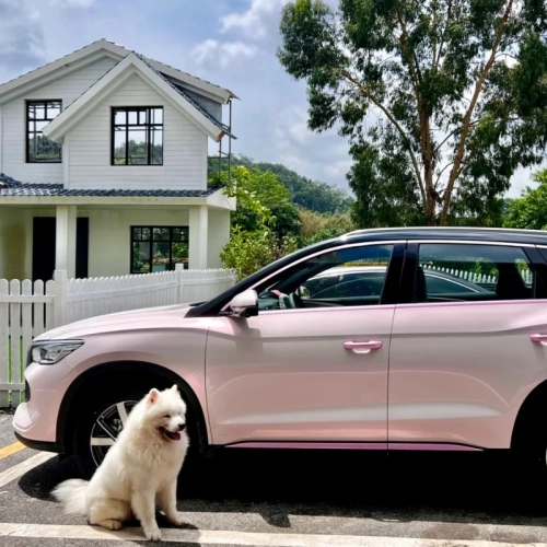 Macaron Cherry Pink Car Vinyl Wrap review 