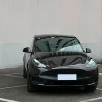 Tesla Glossy PET Diamonds Black Red Car Vinyl Wrap review 0