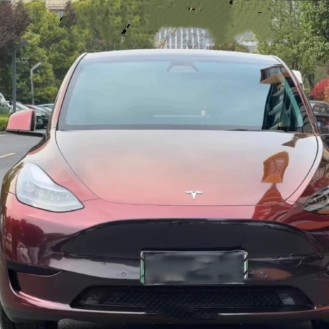 Tesla Glossy TPU Diamonds Black Red Car Vinyl Wrap review 