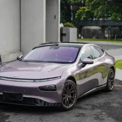 PETSunshine Purple Car Vinyl Wrap review Ldehu