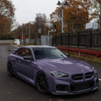 PET Negroni Purple Car Vinyl Wrap review 0