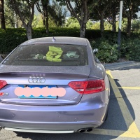 Gloss Grey Violet Car Vinyl Wrap review 0