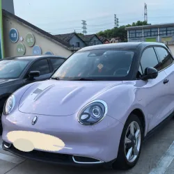 Misty Gray Purple Car Vinyl Wrap review Wcjbgfik