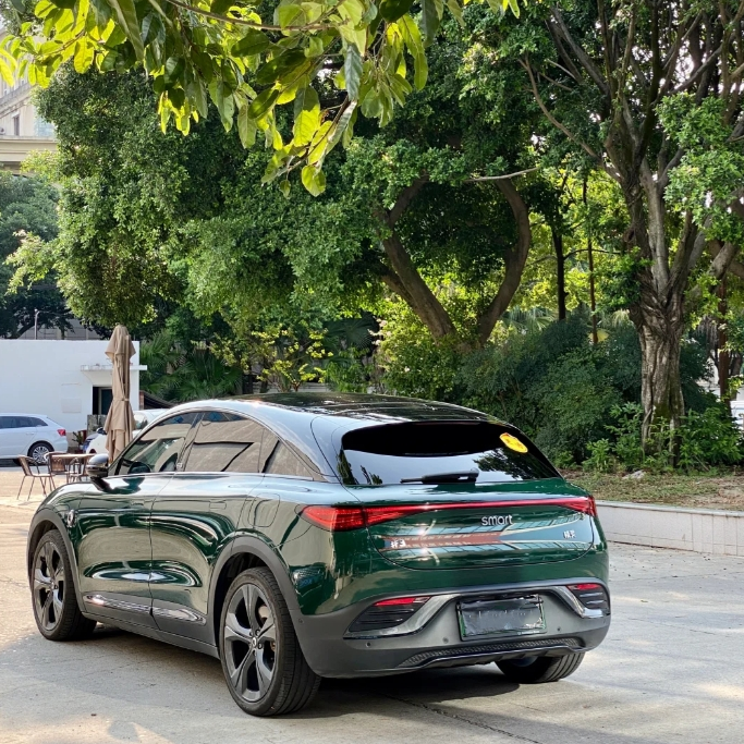 Porsche PET Gloss Viridis Green Car Vinyl Wrap review Bdvfd 02