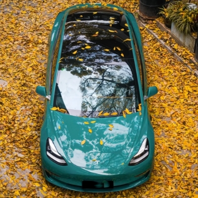 Super Gloss Pine Green Car Vinyl Wrap review Edsf 02