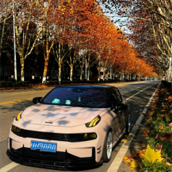 First Love Pink Car Vinyl Wrap review Rrhb 01