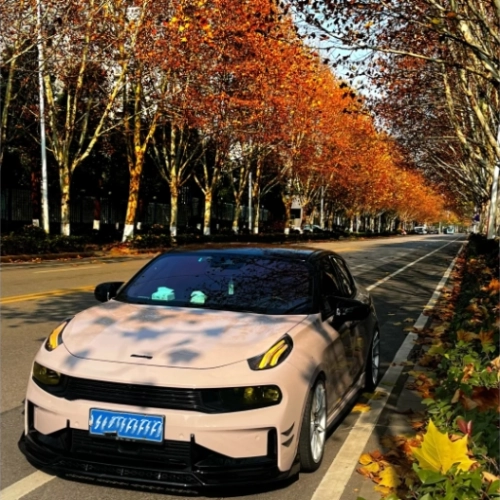 First Love Pink Car Vinyl Wrap review 