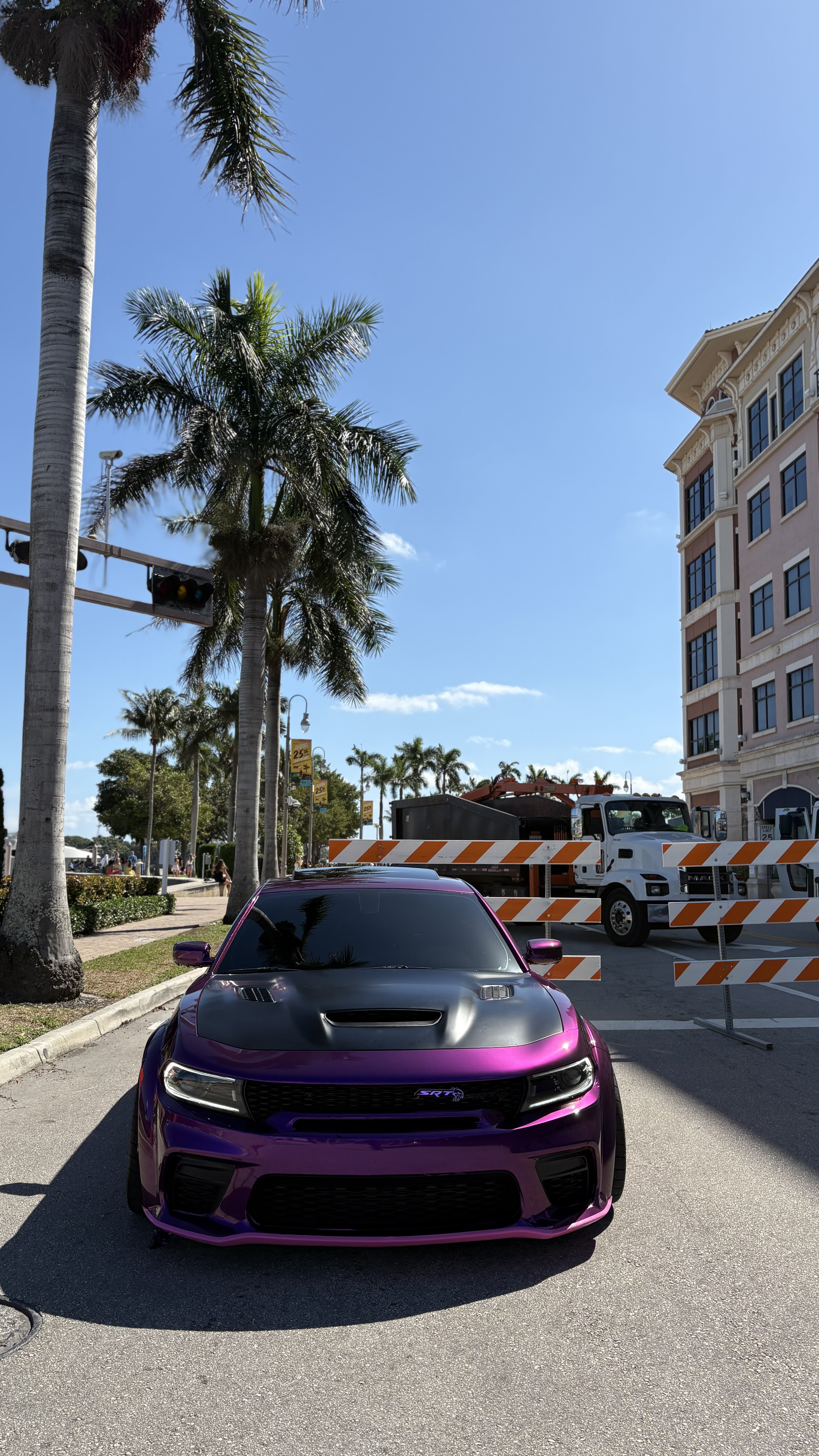 Gloss Metallic Grape Purple Car Vinyl Wrap review Hellcatray_717 02