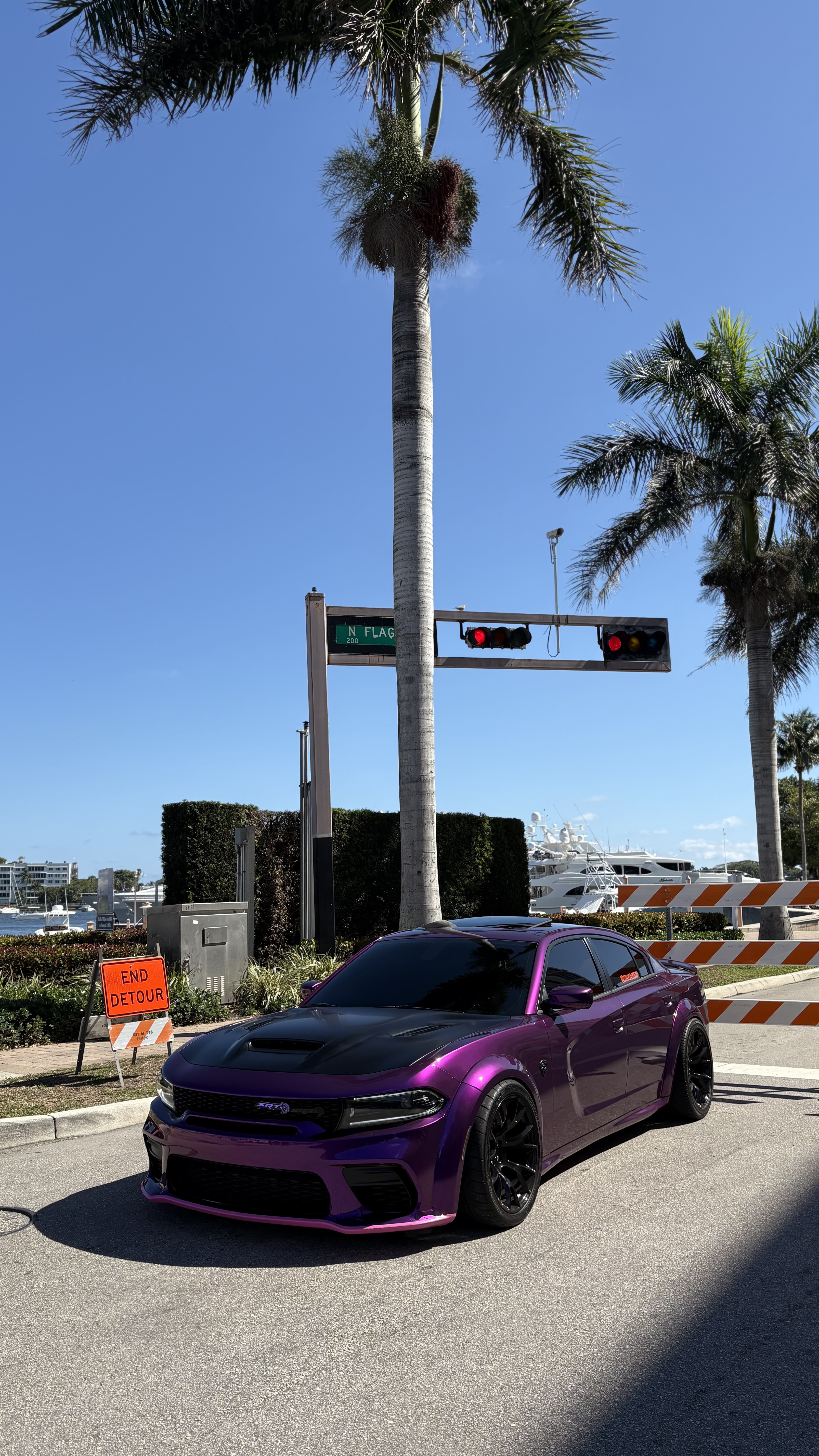 Gloss Metallic Grape Purple Car Vinyl Wrap review Hellcatray_717 03