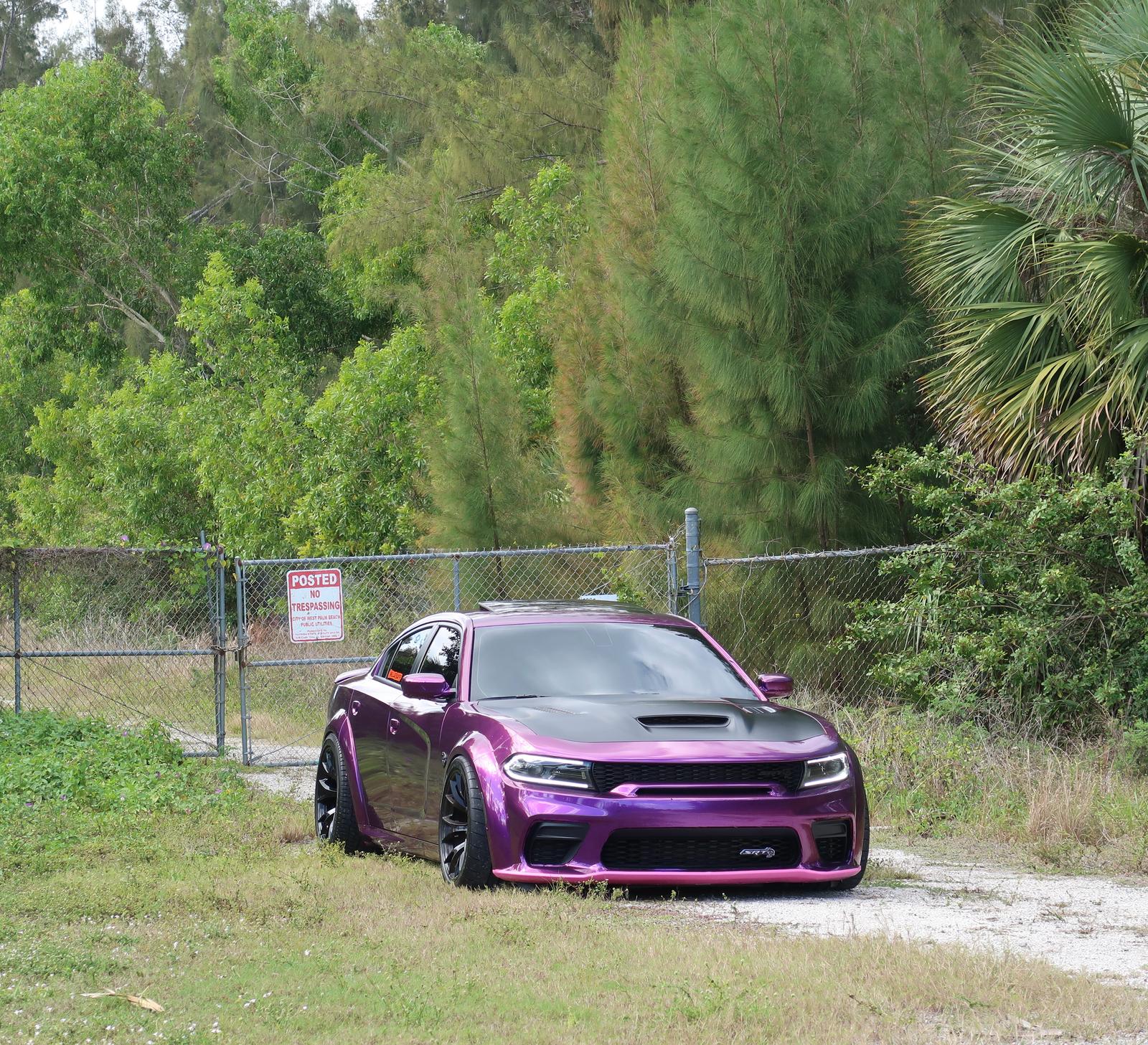 Gloss Metallic Grape Purple Car Vinyl Wrap review efrgh 01