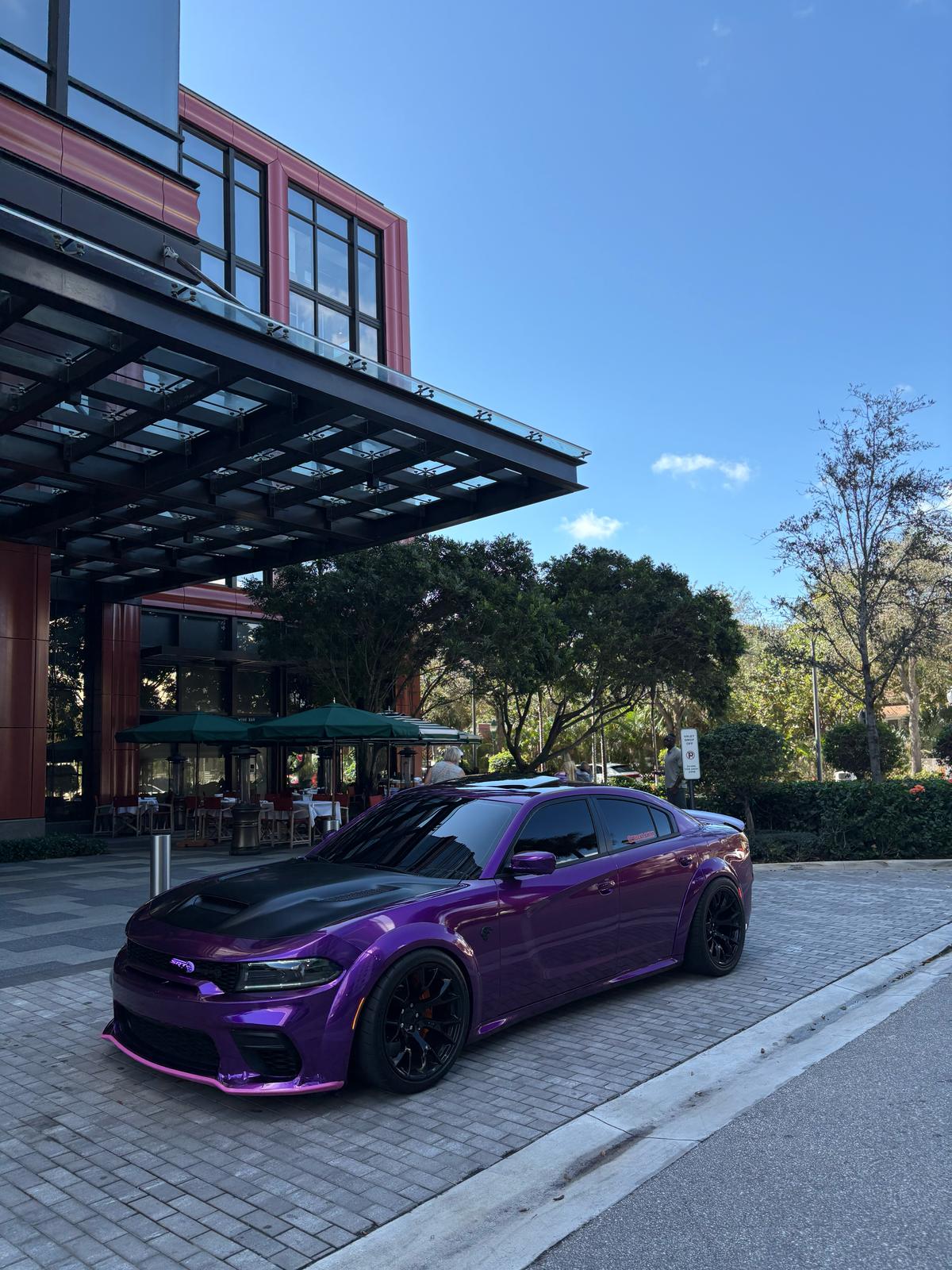 Gloss Metallic Grape Purple Car Vinyl Wrap review efrgh 04