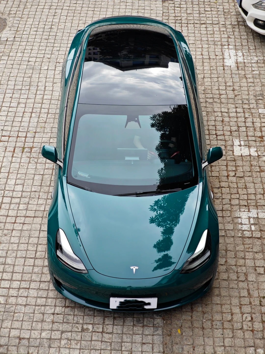 Super Gloss Pine Green Car Vinyl Wrap review miiuu