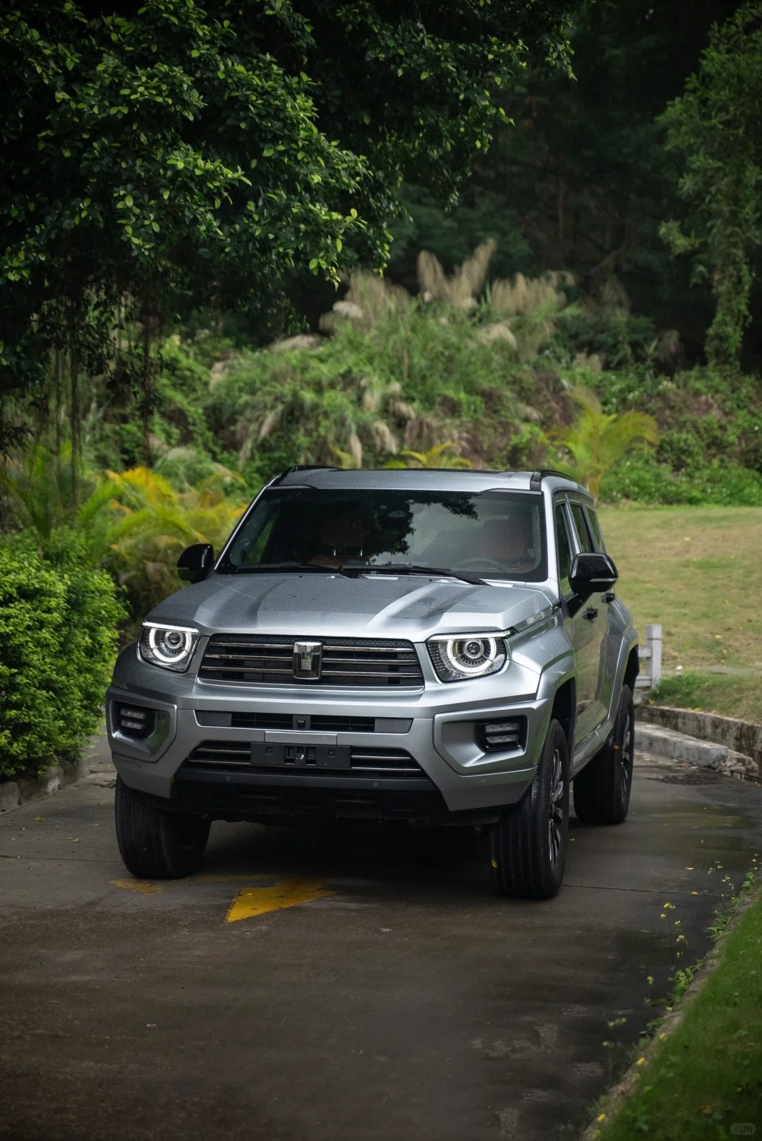 Gloss Iridum Silver Car Vinyl Wrap review tigep 01