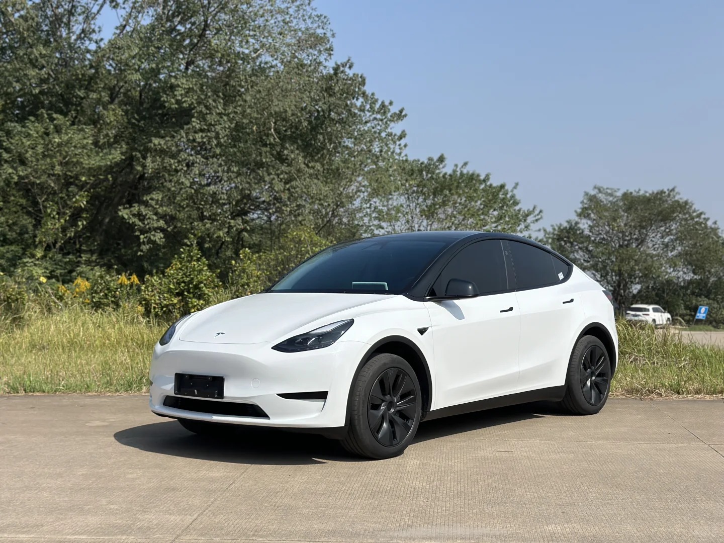 Benz Lexus Glossy PET Sparkle White Car Vinyl Wrap review dsgbefh 01