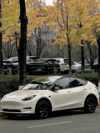 Tesla Benz Gloss Pepper Coopers White Car Vinyl Wrap review 0