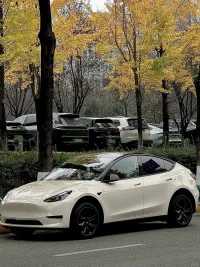 Tesla Benz Gloss Pepper Coopers White Car Vinyl Wrap review 0