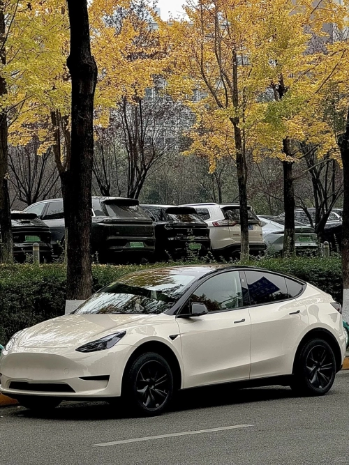 Tesla Benz Gloss Pepper Coopers White Car Vinyl Wrap review 