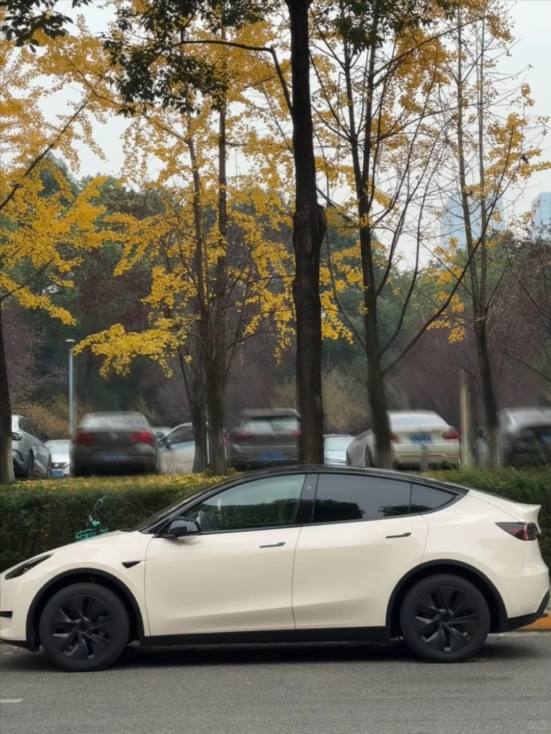 Tesla Benz Gloss Pepper Coopers White Car Vinyl Wrap review dsfoe 02