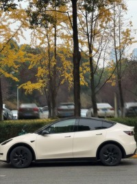Tesla Benz Gloss Pepper Coopers White Car Vinyl Wrap review 1