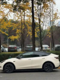 Tesla Benz Gloss Pepper Coopers White Car Vinyl Wrap review 1