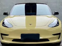 PET Sunbath Yellow Car Vinyl Wrap review 0