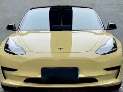 PET Sunbath Yellow Car Vinyl Wrap review dsghg 01