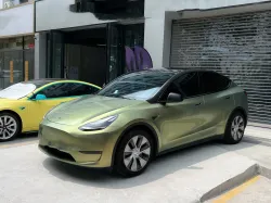 PET Matte Urban Bamboo Green Car Vinyl Wrap review dsgrg 01