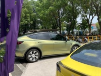PET Matte Urban Bamboo Green Car Vinyl Wrap review 1