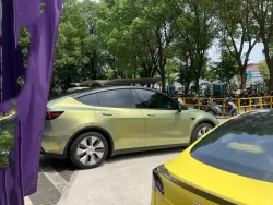 PET Matte Urban Bamboo Green Car Vinyl Wrap review dsgrg 02