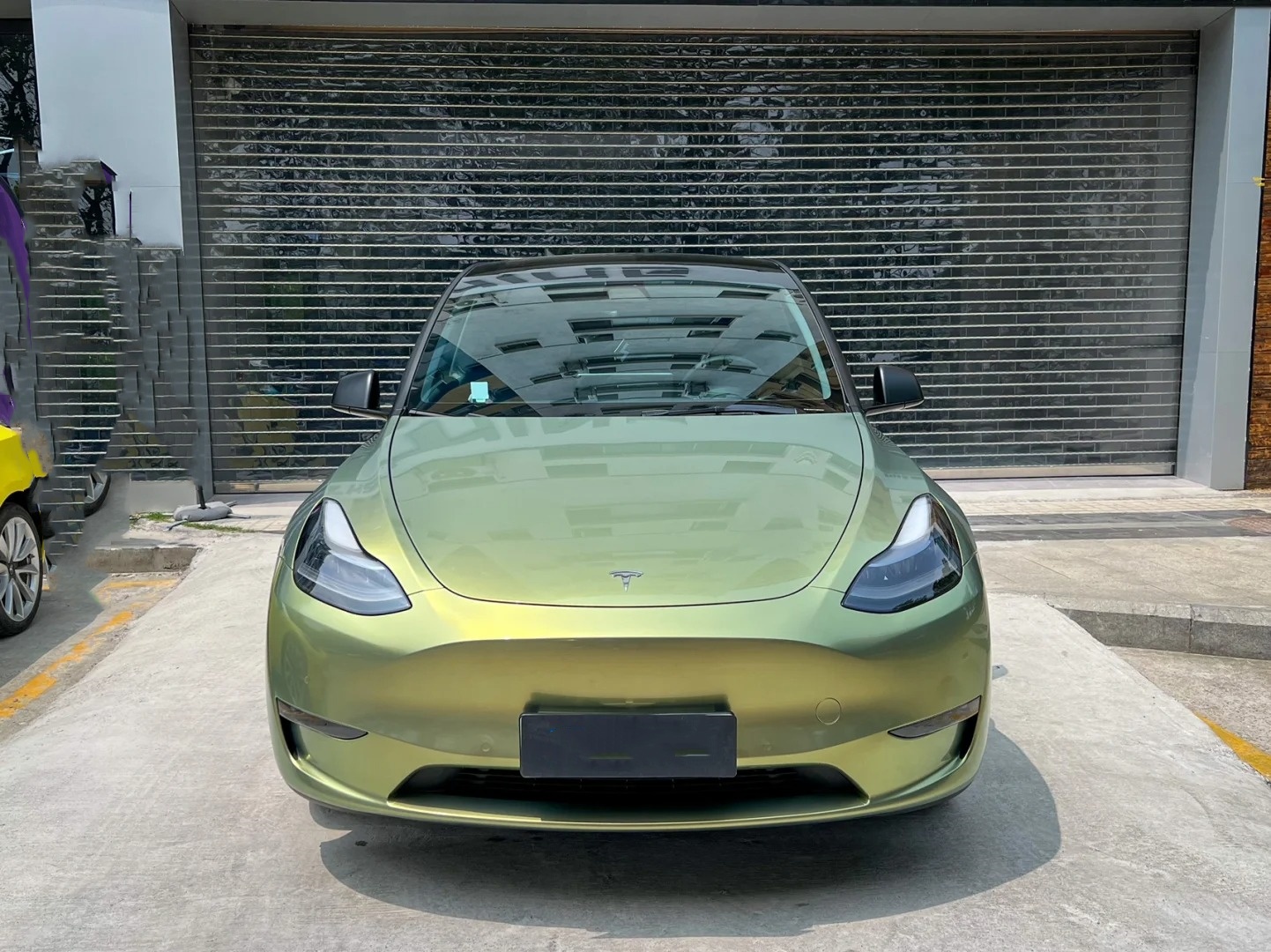 PET Matte Urban Bamboo Green Car Vinyl Wrap review dsfdkjsg