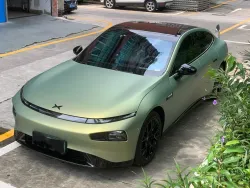 PET Matte Urban Bamboo Green Car Vinyl Wrap review adsgH 01