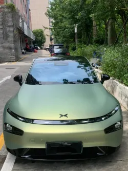 PET Matte Urban Bamboo Green Car Vinyl Wrap review adsgH 02