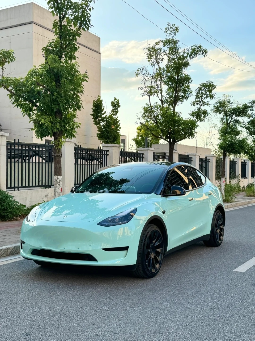 Super Gloss Cragginess Green Car Vinyl Wrap review dsgh