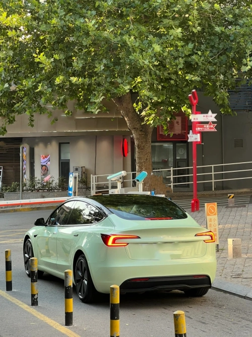 Super Gloss Macaron Green Car Vinyl Wrap review 