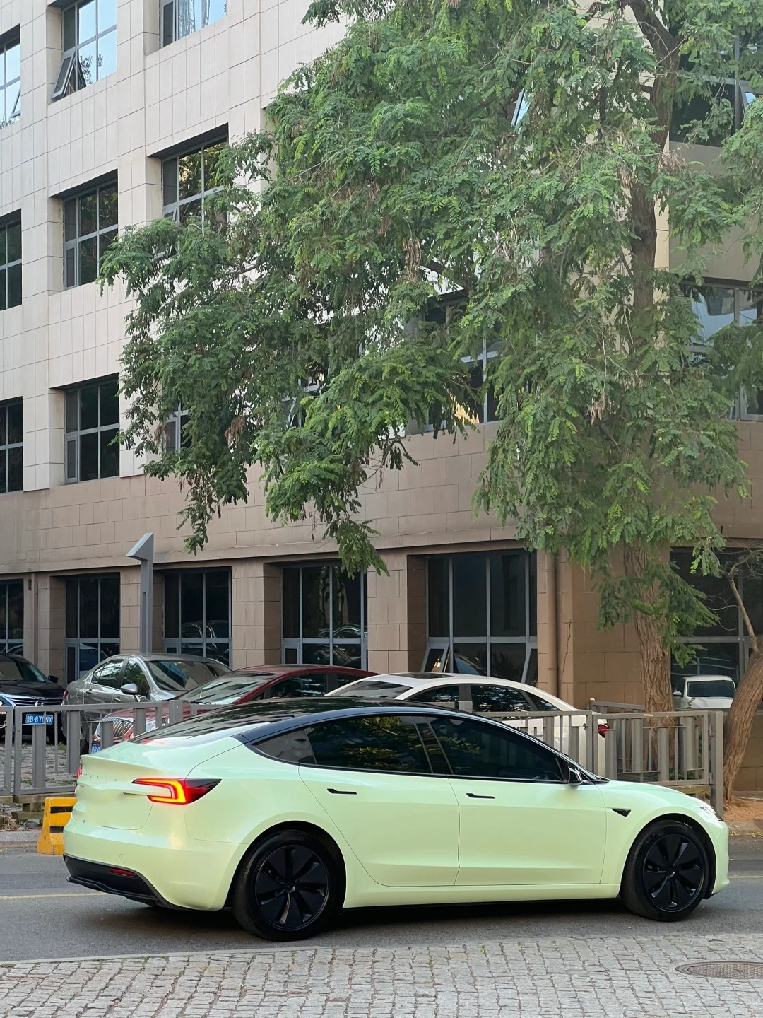 Super Gloss Macaron Green Car Vinyl Wrap review dsgfh 02