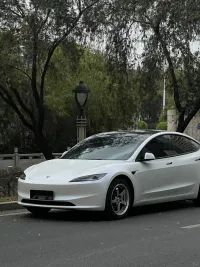 Tesla Matte Aurora White Car Vinyl Wrap review 0