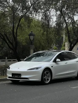 Tesla Matte Aurora White Car Vinyl Wrap review sfsf 01