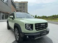 PET Super Gloss Light Khaki Grey Car Vinyl Wrap review 0