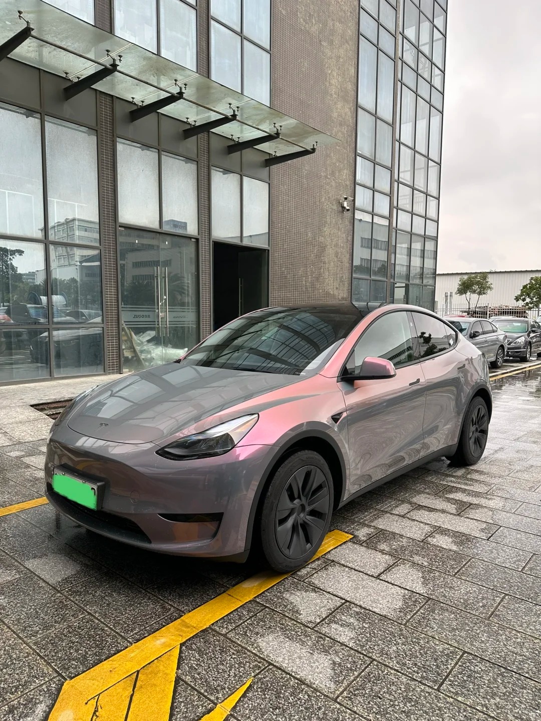 Glitter Metallic Star Ash Pink Car Vinyl Wrap review rrh 02