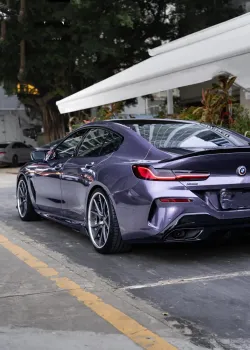 Rosemary Purple Car Vinyl Wrap review dsgr