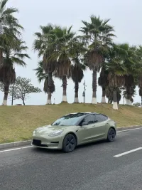 TPU Khaki Green Car Vinyl Wrap review 0