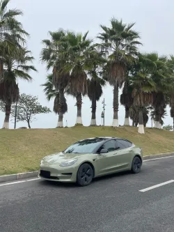 TPU Khaki Green Car Vinyl Wrap review jyuy 01