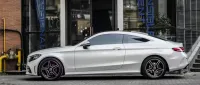 PET Martin Silver Grey Car Vinyl Wrap review 0