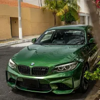 PET Sonoma Green Car Vinyl Wrap review 0