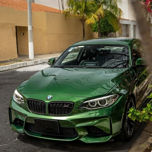 PET Sonoma Green Car Vinyl Wrap review 