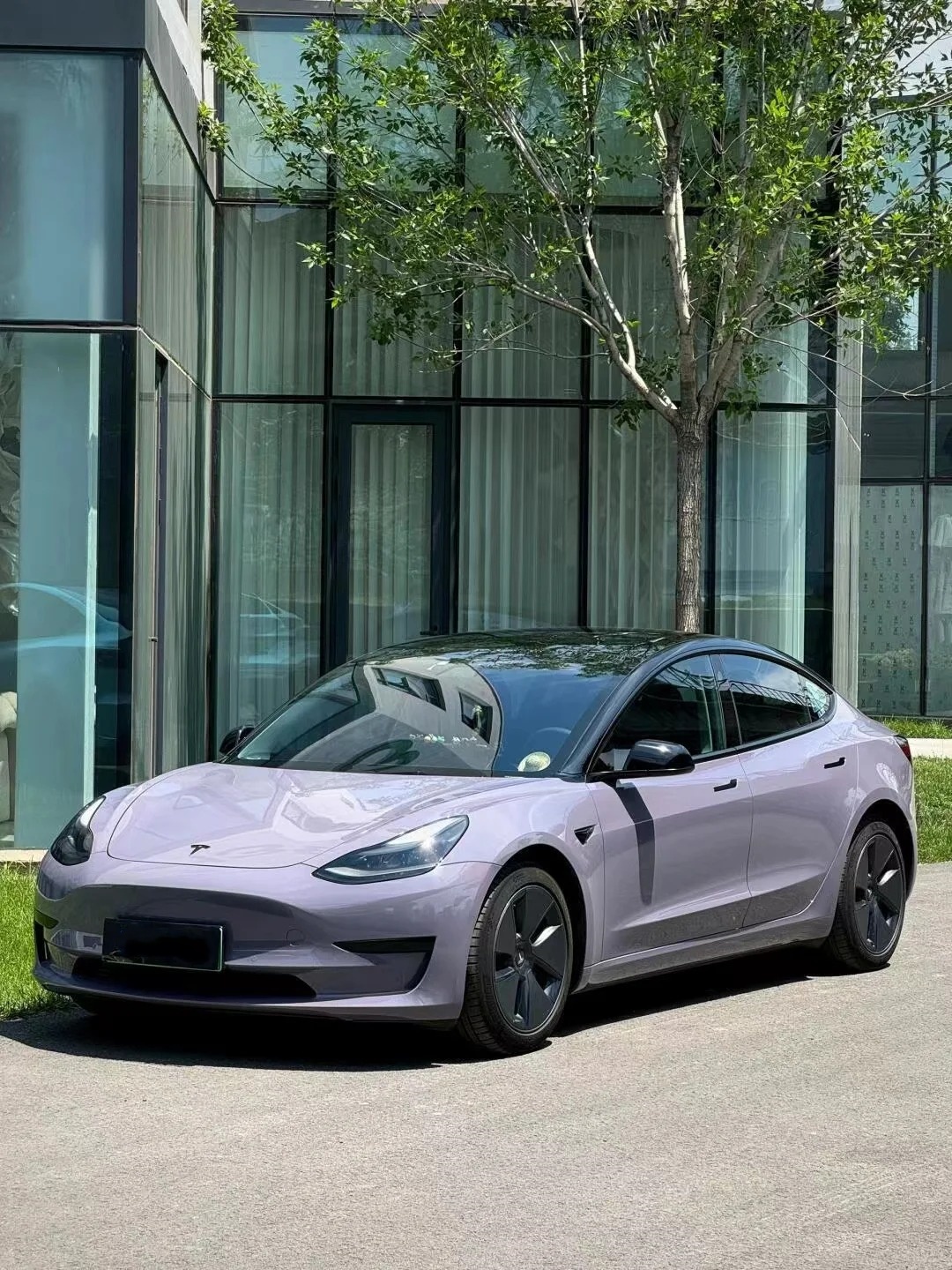 Provence Purple Car Vinyl Wrap review wsrhtr 02