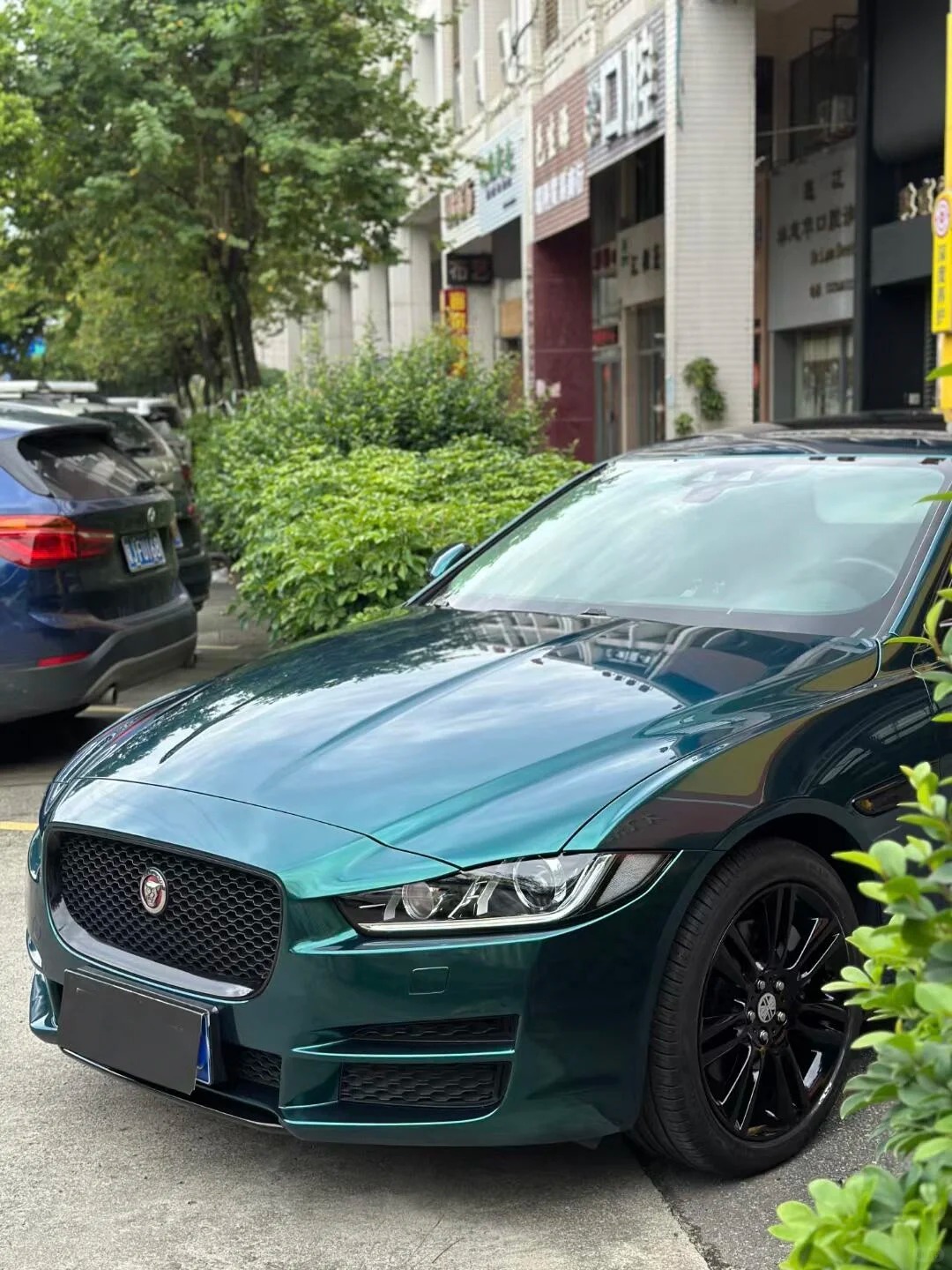 Gloss Royal Green Car Vinyl Wrap review fdgrt 01