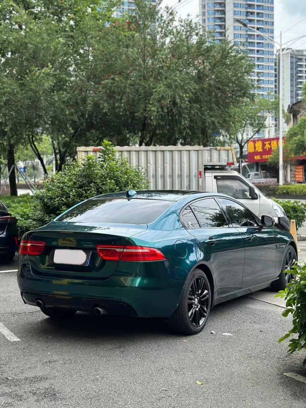 Gloss Royal Green Car Vinyl Wrap review fdgrt 02