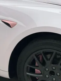 Tesla PET Gloss Mary Kay Pink Car Vinyl Wrap review 1